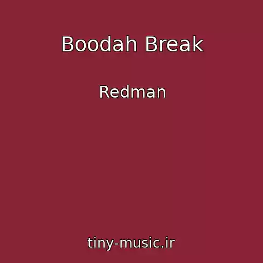 کاور آهنگ Boodah Break از Redman