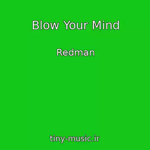 کاور آهنگ Blow Your Mind از Redman