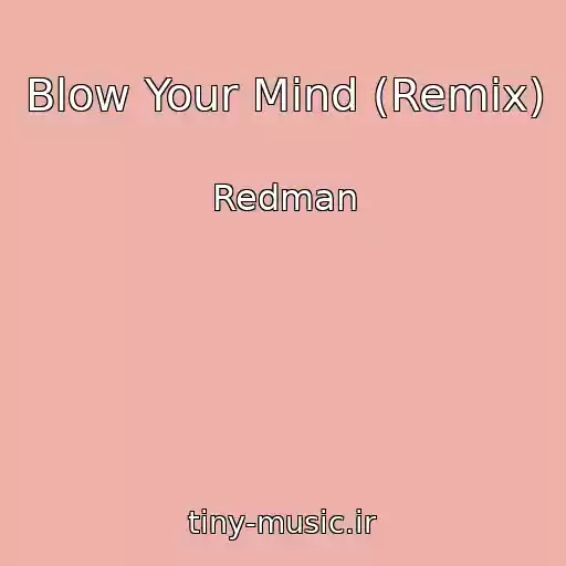کاور آهنگ Blow Your Mind (Remix) از Redman