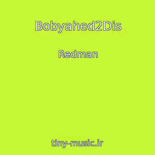 کاور آهنگ Bobyahed2Dis از Redman