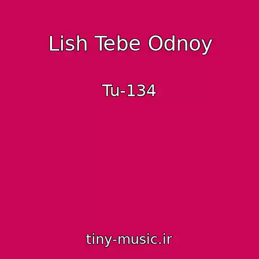 کاور آهنگ Lish Tebe Odnoy از Tu-134
