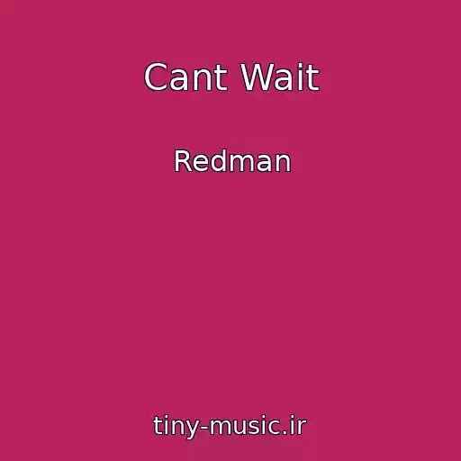کاور آهنگ Cant Wait از Redman