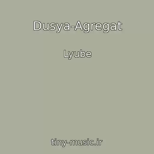 کاور آهنگ Dusya-Agregat از Lyube