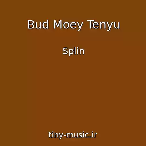 کاور آهنگ Bud Moey Tenyu از Splin