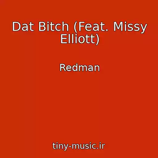 کاور آهنگ Dat Bitch (Feat. Missy Elliott) از Redman