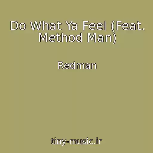 کاور آهنگ Do What Ya Feel (Feat. Method Man) از Redman
