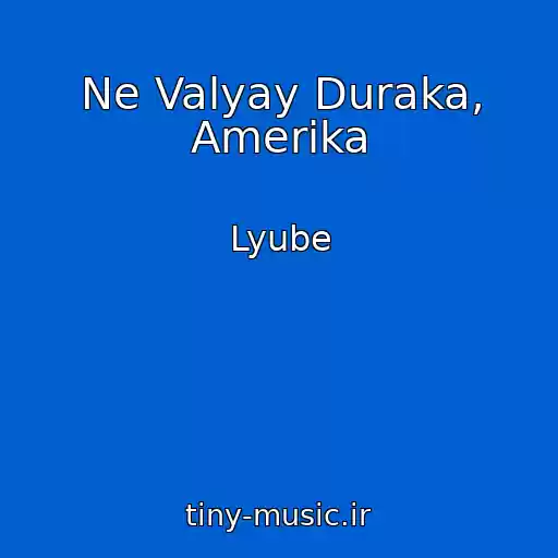 کاور آهنگ Ne Valyay Duraka, Amerika از Lyube
