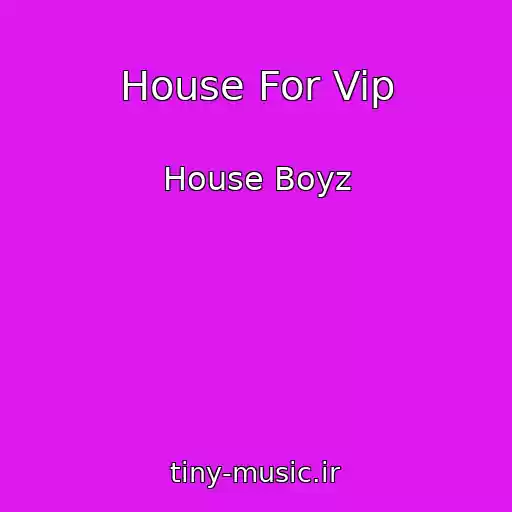 کاور آهنگ House For Vip از House Boyz