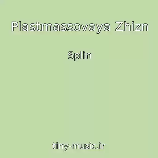 کاور آهنگ Plastmassovaya Zhizn از Splin