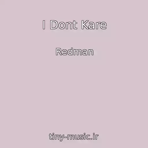 کاور آهنگ I Dont Kare از Redman