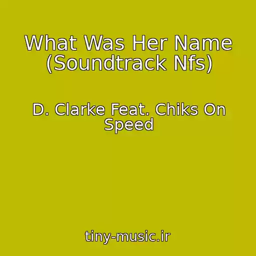 کاور آهنگ What Was Her Name (Soundtrack Nfs) از D. Clarke Feat. Chiks On Speed