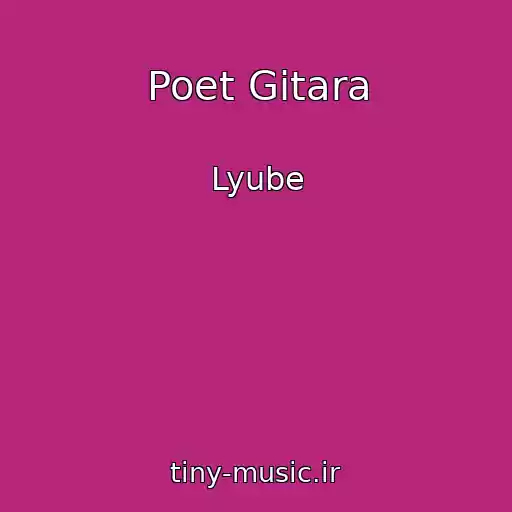 کاور آهنگ Poet Gitara از Lyube
