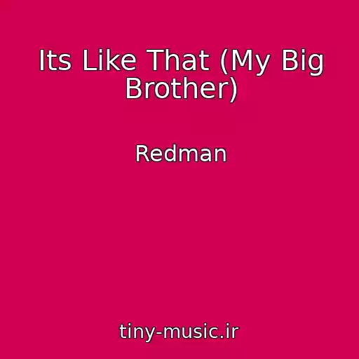 کاور آهنگ Its Like That (My Big Brother) از Redman