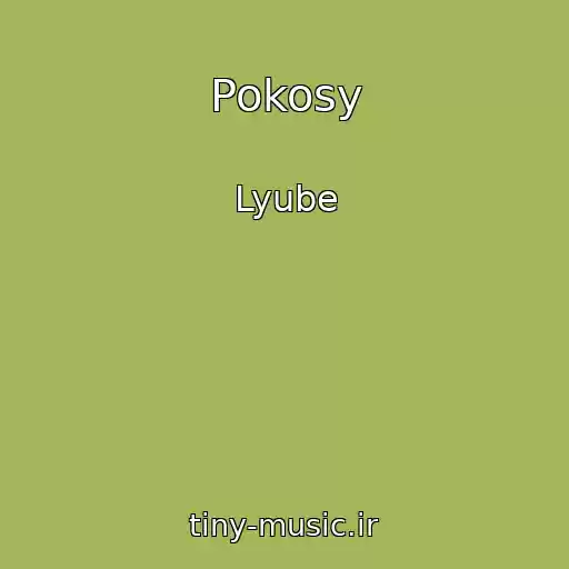 کاور آهنگ Pokosy از Lyube