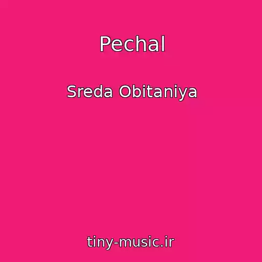 کاور آهنگ Pechal از Sreda Obitaniya