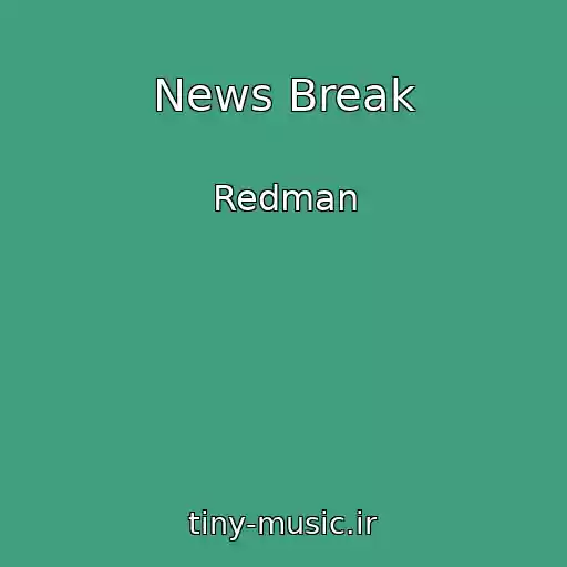 کاور آهنگ News Break از Redman
