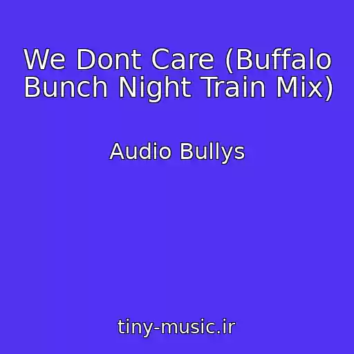 کاور آهنگ We Dont Care (Buffalo Bunch Night Train Mix) از Audio Bullys