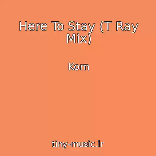 کاور آهنگ Here To Stay (T Ray Mix) از Korn