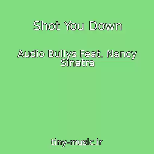 کاور آهنگ Shot You Down از Audio Bullys Feat. Nancy Sinatra