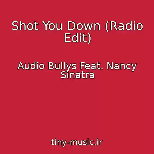 کاور آهنگ Shot You Down (Radio Edit) از Audio Bullys Feat. Nancy Sinatra