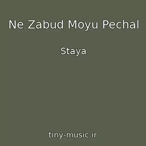کاور آهنگ Ne Zabud Moyu Pechal از Staya