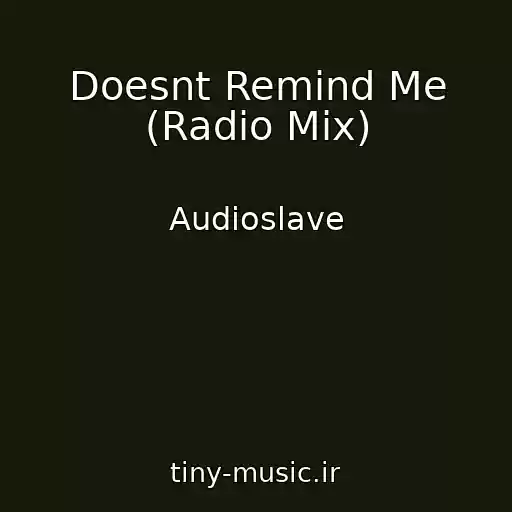 کاور آهنگ Doesnt Remind Me (Radio Mix) از Audioslave