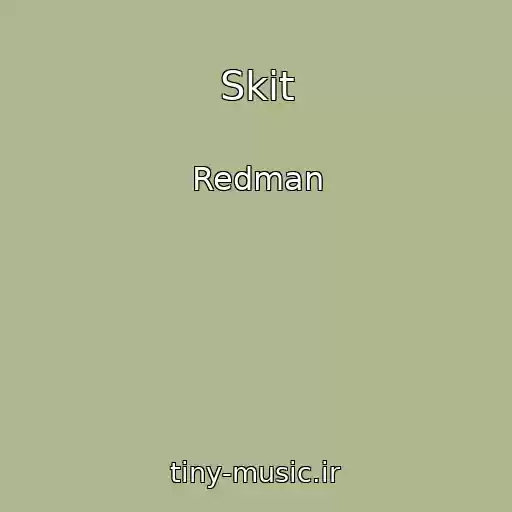کاور آهنگ Skit از Redman