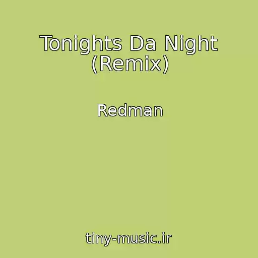 کاور آهنگ Tonights Da Night (Remix) از Redman