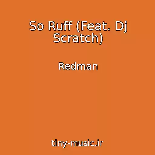 کاور آهنگ So Ruff (Feat. Dj Scratch) از Redman
