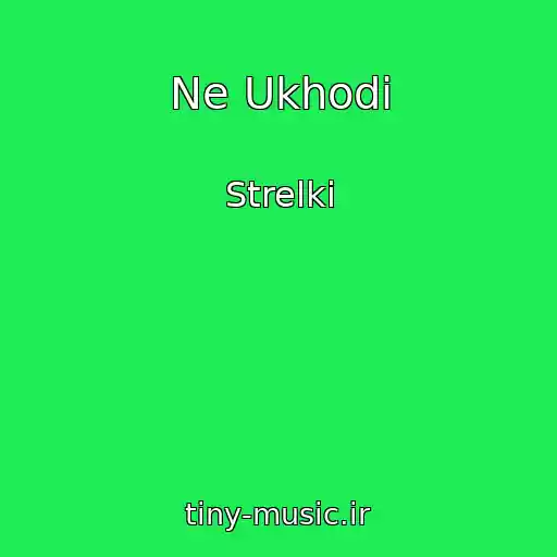 کاور آهنگ Ne Ukhodi از Strelki