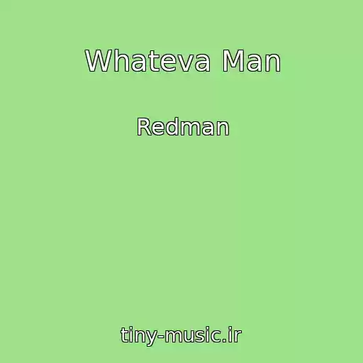 کاور آهنگ Whateva Man از Redman