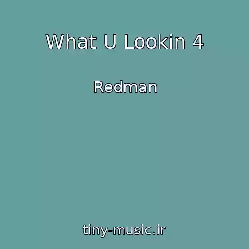 کاور آهنگ What U Lookin 4 از Redman