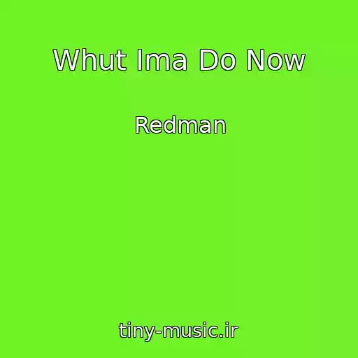 کاور آهنگ Whut Ima Do Now از Redman