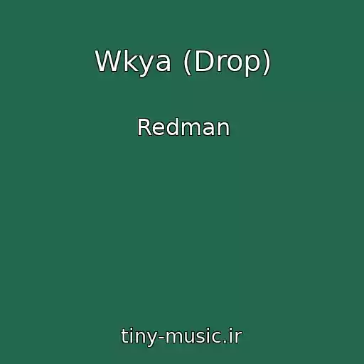 کاور آهنگ Wkya (Drop) از Redman
