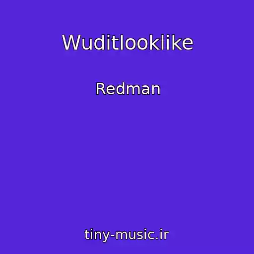 کاور آهنگ Wuditlooklike از Redman