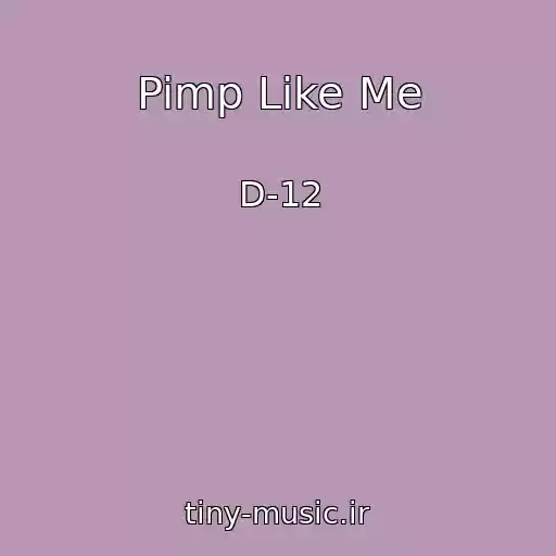 کاور آهنگ Pimp Like Me از D-12