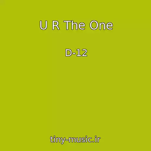 کاور آهنگ U R The One از D-12