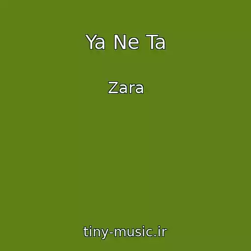 کاور آهنگ Ya Ne Ta از Zara