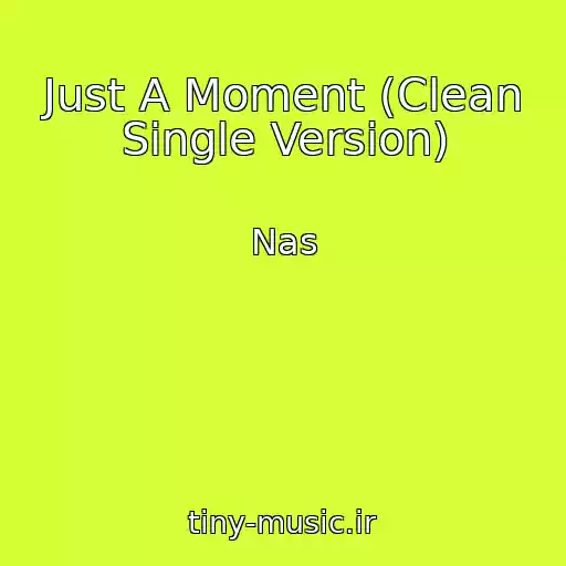 کاور آهنگ Just A Moment (Clean Single Version) از Nas