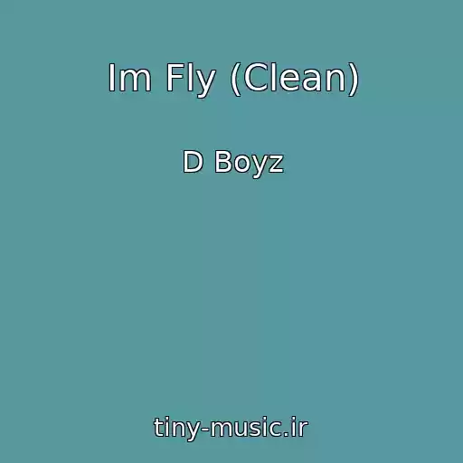 کاور آهنگ Im Fly (Clean) از D Boyz