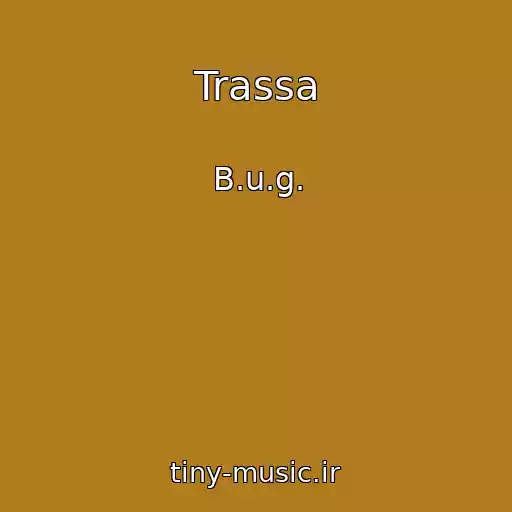 کاور آهنگ Trassa از B.u.g.