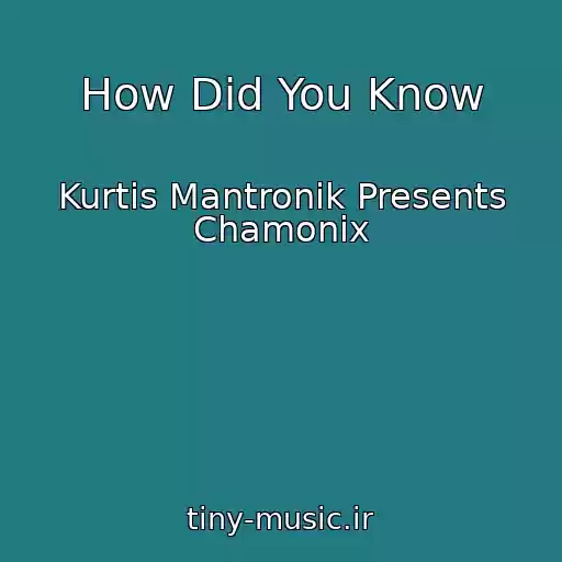 کاور آهنگ How Did You Know از Kurtis Mantronik Presents Chamonix