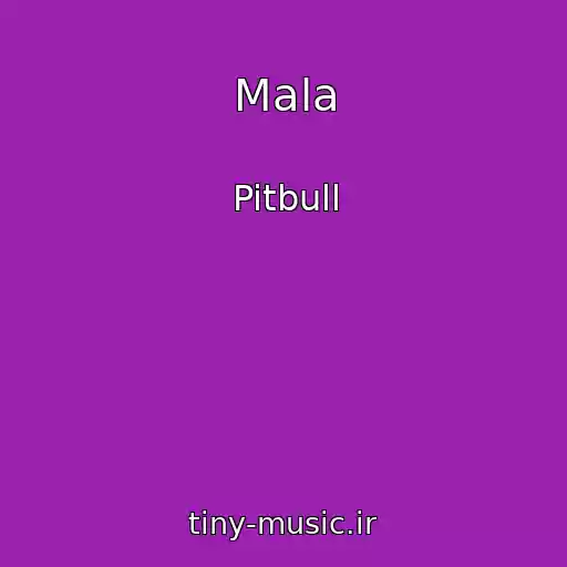 کاور آهنگ Mala از Pitbull