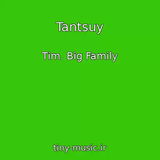 کاور آهنگ Tantsuy از Tim. Big Family