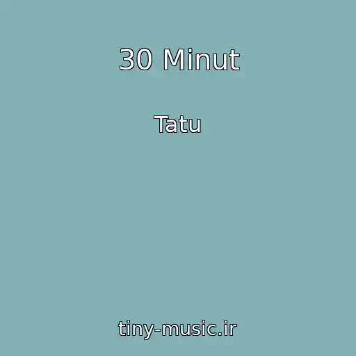 کاور آهنگ 30 Minut از Tatu