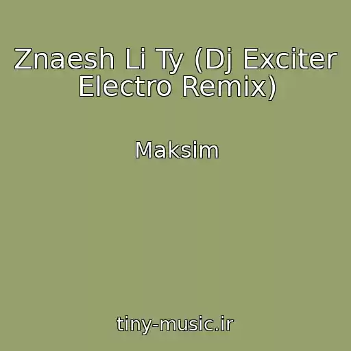 کاور آهنگ Znaesh Li Ty (Dj Exciter Electro Remix) از Maksim