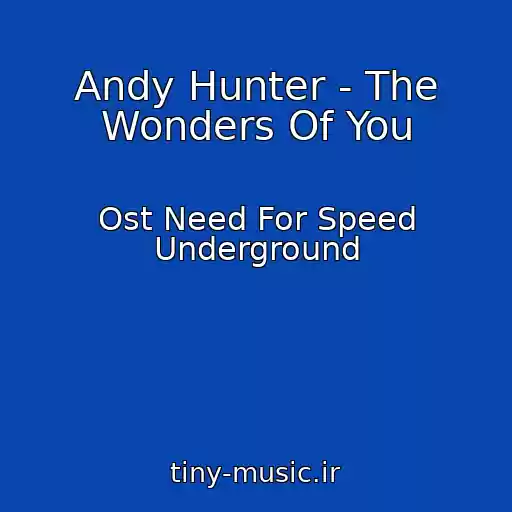 کاور آهنگ Andy Hunter - The Wonders Of You از Ost Need For Speed Underground