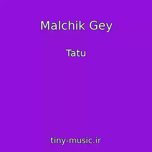 کاور آهنگ Malchik Gey از Tatu