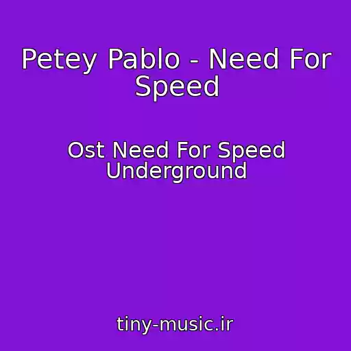 کاور آهنگ Petey Pablo - Need For Speed از Ost Need For Speed Underground