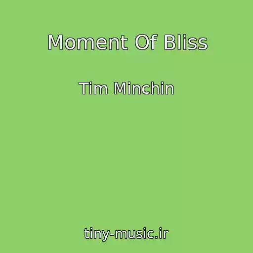 کاور آهنگ Moment Of Bliss از Tim Minchin